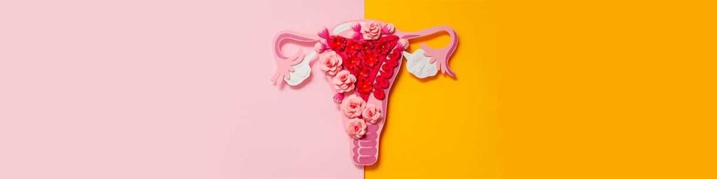 Endometriose pode causar infertilidade nas mulheres